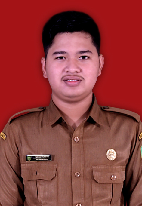 TOPAN IRIANTO